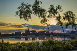 营口辽河公园爆料视频,揭秘公园美景与趣事 第1张 营口辽河公园爆料视频,揭秘公园美景与趣事 第1张